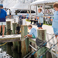 Hatteras Marlin Club Blue Marlin Release Tournament