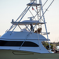Hatteras Marlin Club Blue Marlin Release Tournament