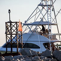 Hatteras Marlin Club Blue Marlin Release Tournament