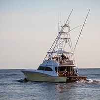 Hatteras Marlin Club Blue Marlin Release Tournament