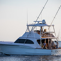 Hatteras Marlin Club Blue Marlin Release Tournament