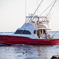 Hatteras Marlin Club Blue Marlin Release Tournament