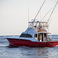 Hatteras Marlin Club Blue Marlin Release Tournament