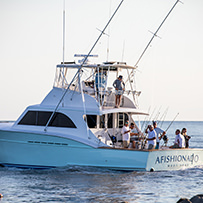 Hatteras Marlin Club Blue Marlin Release Tournament