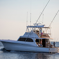 Hatteras Marlin Club Blue Marlin Release Tournament
