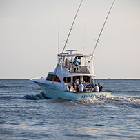 Hatteras Marlin Club Blue Marlin Release Tournament