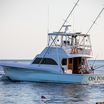 Hatteras Marlin Club Blue Marlin Release Tournament