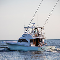 Hatteras Marlin Club Blue Marlin Release Tournament