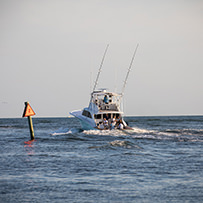Hatteras Marlin Club Blue Marlin Release Tournament