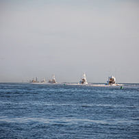 Hatteras Marlin Club Blue Marlin Release Tournament