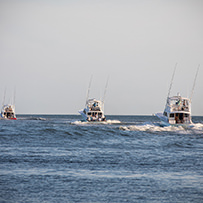 Hatteras Marlin Club Blue Marlin Release Tournament