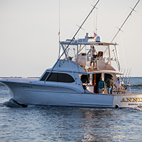 Hatteras Marlin Club Blue Marlin Release Tournament