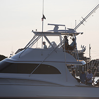 Hatteras Marlin Club Blue Marlin Release Tournament