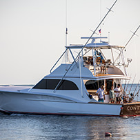Hatteras Marlin Club Blue Marlin Release Tournament