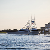 Hatteras Marlin Club Blue Marlin Release Tournament