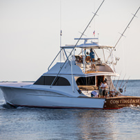 Hatteras Marlin Club Blue Marlin Release Tournament