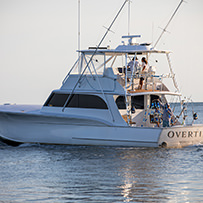 Hatteras Marlin Club Blue Marlin Release Tournament