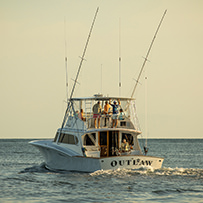 Hatteras Marlin Club Blue Marlin Release Tournament