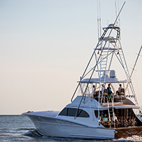 Hatteras Marlin Club Blue Marlin Release Tournament