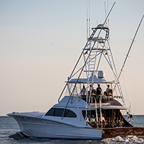 Hatteras Marlin Club Blue Marlin Release Tournament