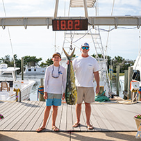 Hatteras Marlin Club Blue Marlin Release Tournament