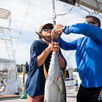 Hatteras Marlin Club Blue Marlin Release Tournament