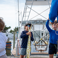 Hatteras Marlin Club Blue Marlin Release Tournament