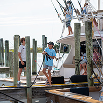 Hatteras Marlin Club Blue Marlin Release Tournament