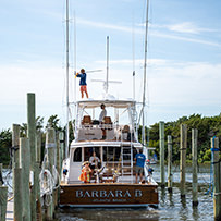 Hatteras Marlin Club Blue Marlin Release Tournament