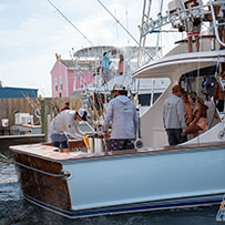 Hatteras Marlin Club Blue Marlin Release Tournament