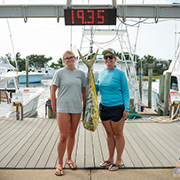 Hatteras Marlin Club Blue Marlin Release Tournament