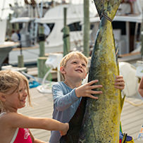 Hatteras Marlin Club Blue Marlin Release Tournament