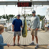Hatteras Marlin Club Blue Marlin Release Tournament