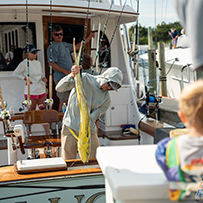Hatteras Marlin Club Blue Marlin Release Tournament