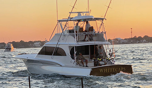 Whitecaps